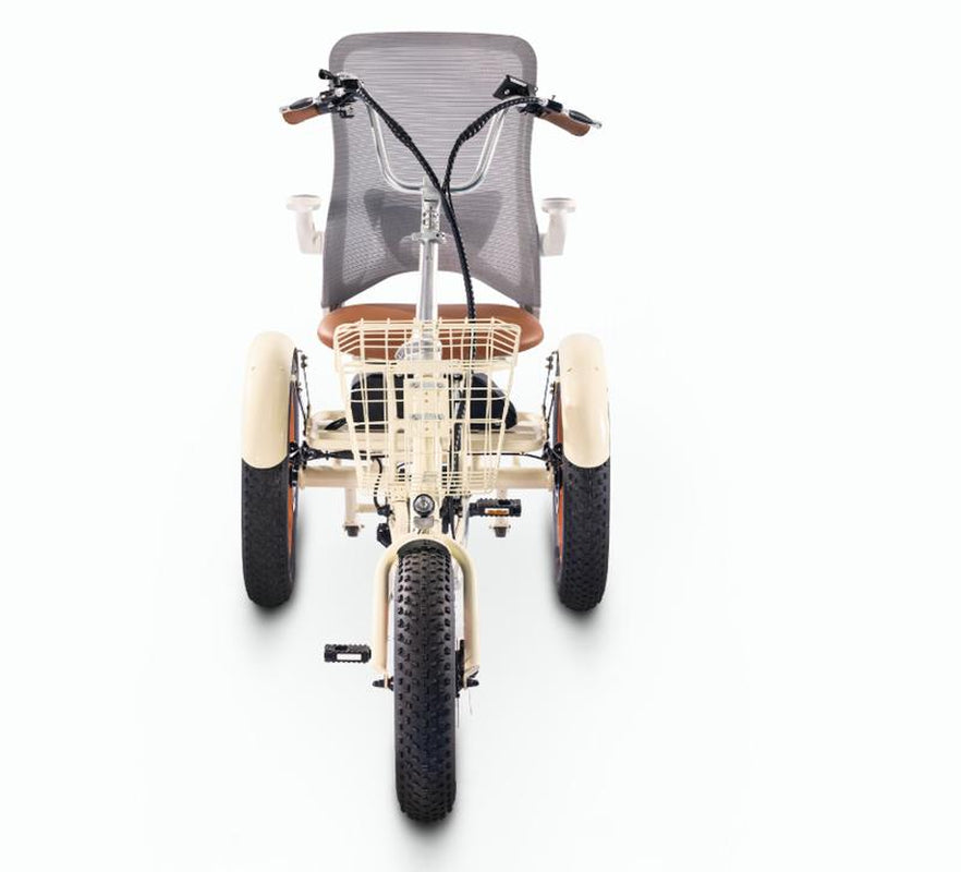 Simple Glide Fat Tire 750W Recumbent E Trike 2026 W/ Footrest & Hitch Connector