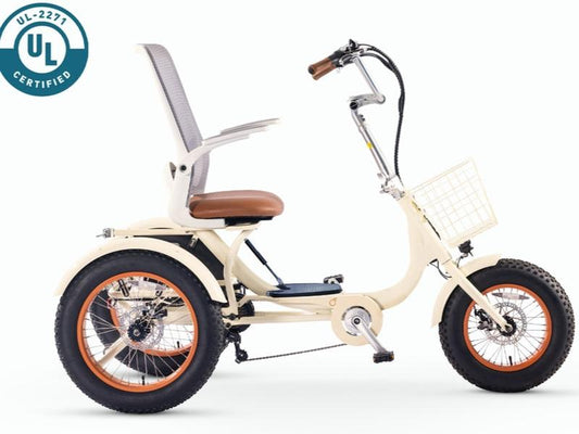 Simple Glide Fat Tire 750W Recumbent E Trike 2026 W/ Footrest & Hitch Connector